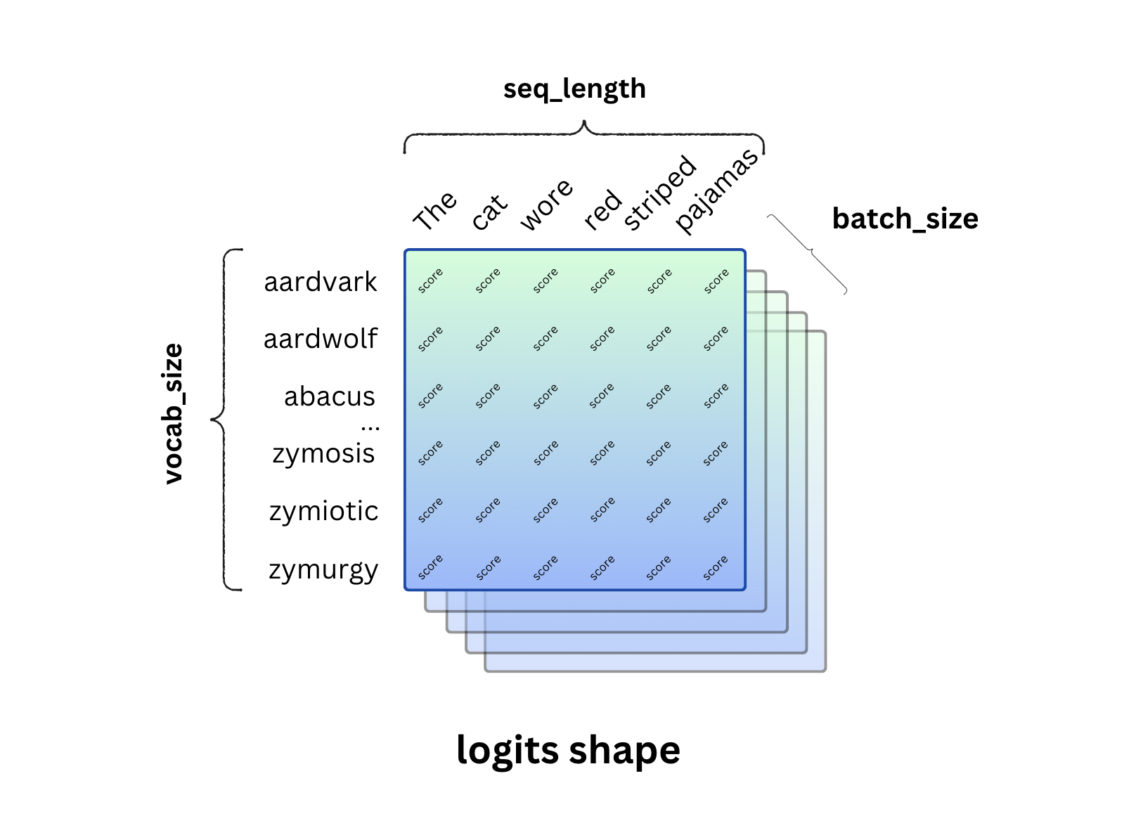 Shape of logits vector in LLM output when calculating perplexity from scratch